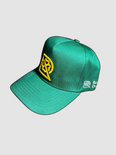 Load image into Gallery viewer, GREEN - R Dolan Éire hat.
